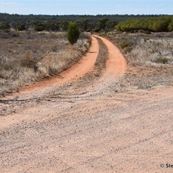 This track is not signposted and is the track to take to get to Higgins Cutting