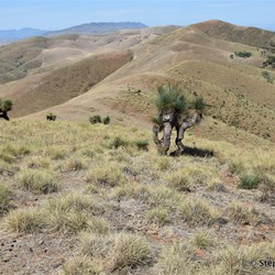 Distant tracks that we will travel on later in the day