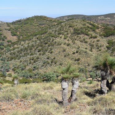 The views are just unreal