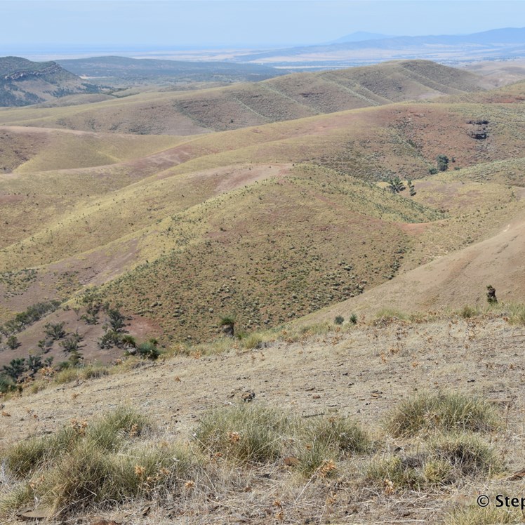 The Arden Hills Self Drive Tracks hugs the ridge line 