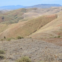 Arden Hills views and showing tracks that we still have to travel on