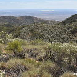 Views to the west from the ridge top track