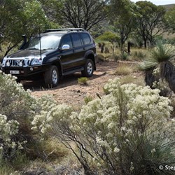 It does not matter what time of the year you travel, there is usually something in flower