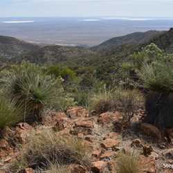 Another view to the west