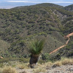 Looking back on this hair pin corner were extreme caution must be taken