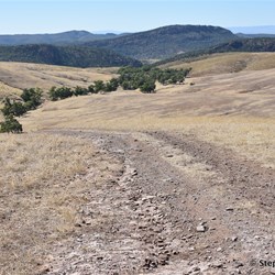 The very start of the Arden Hills Self Drive