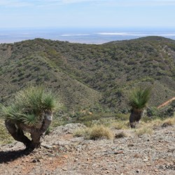 Showing the track down the other side of the range