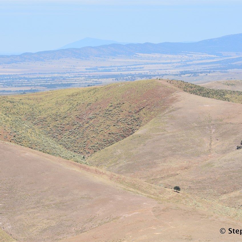 Looking south from the ridge line