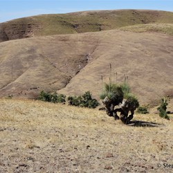 To think that we will eventually be driving on top of that ridge line 