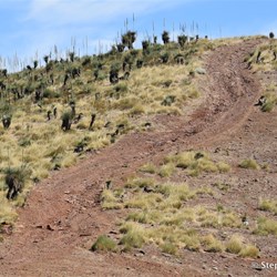 This is low range country