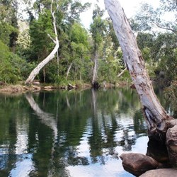 Another view of the swimming hole