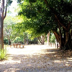 Water Par Creek day area is beside the road