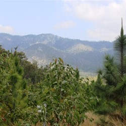 View of the range as you approach Upper Stony