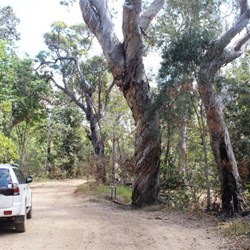 Parked on the 4WD section of Stockyard Point Track