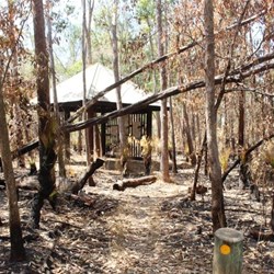 The scorched area around Banksia information shelter