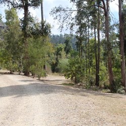 Access road and caravan/motor home space