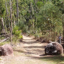 Start of Upper Stony walking track