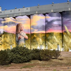 The newly painted silos in Kimba