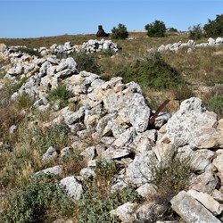 Yalata Homestead Ruins