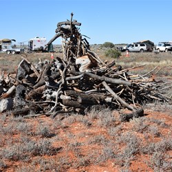 All this great wood, but it was just too hot for a campfire