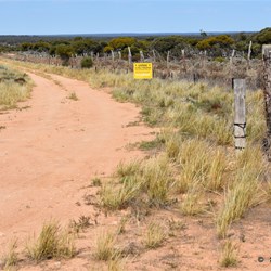 The Dog Fence crosses the Illuka Road