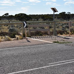 The Dod Fence where it crosses the Iluka Road