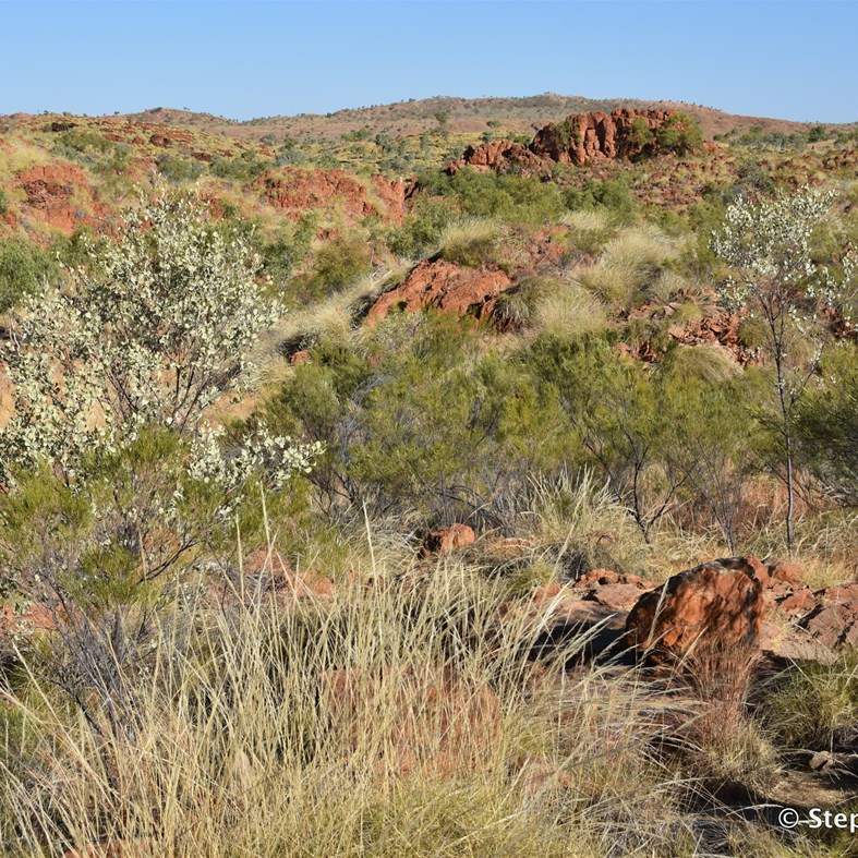 The country around China Walls