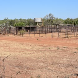 Bobtail Creek Cattle Yards