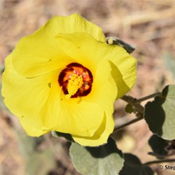 You never know what you will see next