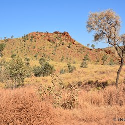The type of country after Old Halls Creek