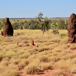 Along the Duncan Road after Old Halls Creek