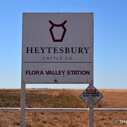 After Sawpit Gorge, the country opens up to pastoral lands