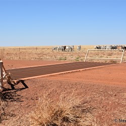 After Sawpit Gorge, the country opens up to pastoral lands