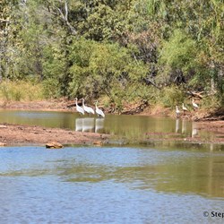 Many of the creeks still hold water well into the Dry Season