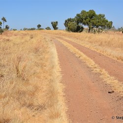 One you hit the two wheel track of the Duncan Road, it stays this way for a very long time
