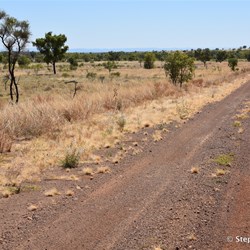Changing track conditions while heading north on the Duncan Road