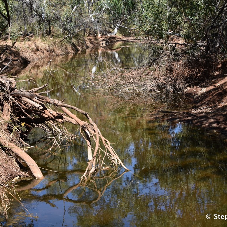 Many of the creeks still hold water well into the Dry Season