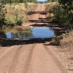 Not all the creek crossing have concrete causeways 