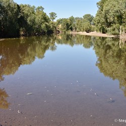 The Forrest Creek - more like a small river