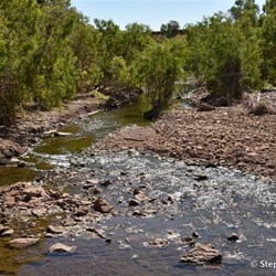 Forrest Creek still flowing quite fast well into the dry season