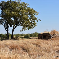 Ord River Homestead Ruins