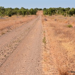 Heading north on the Duncan Road