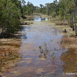 Goyder River flood plain