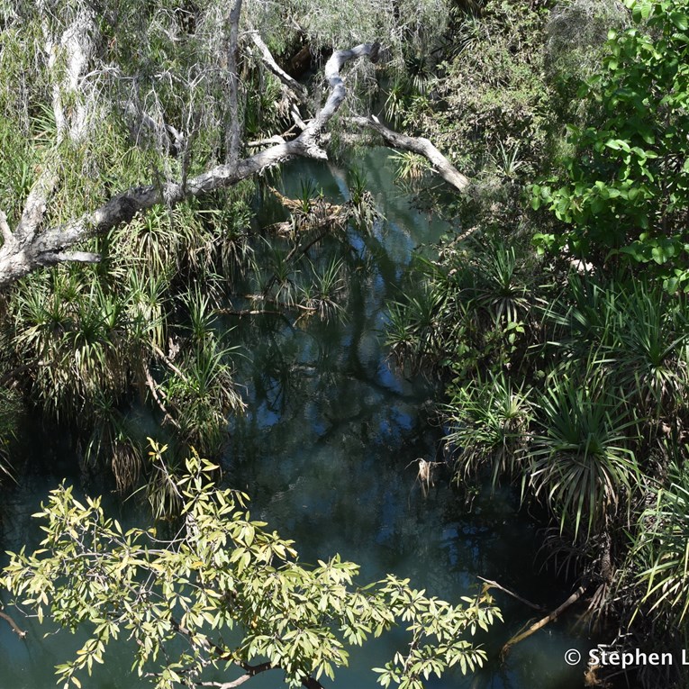 The Goyder River - makes you wonder what lurks in that deep water