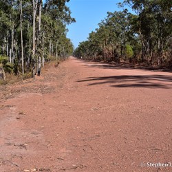 Back on the Central Arnhem Highway next morning 