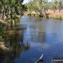 Beswick Creek