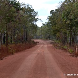 Tall vegetation still travelling east