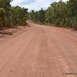 Back into more open country 