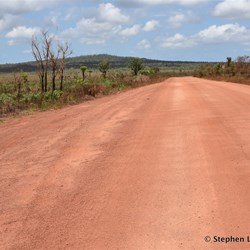 Then out of the blue, traditional homelands have been cleared for cattle grazing 