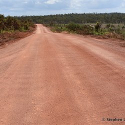 Then out of the blue, traditional homelands have been cleared for cattle grazing 